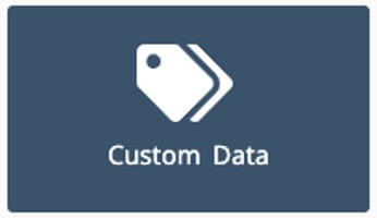 Custom Data Settings